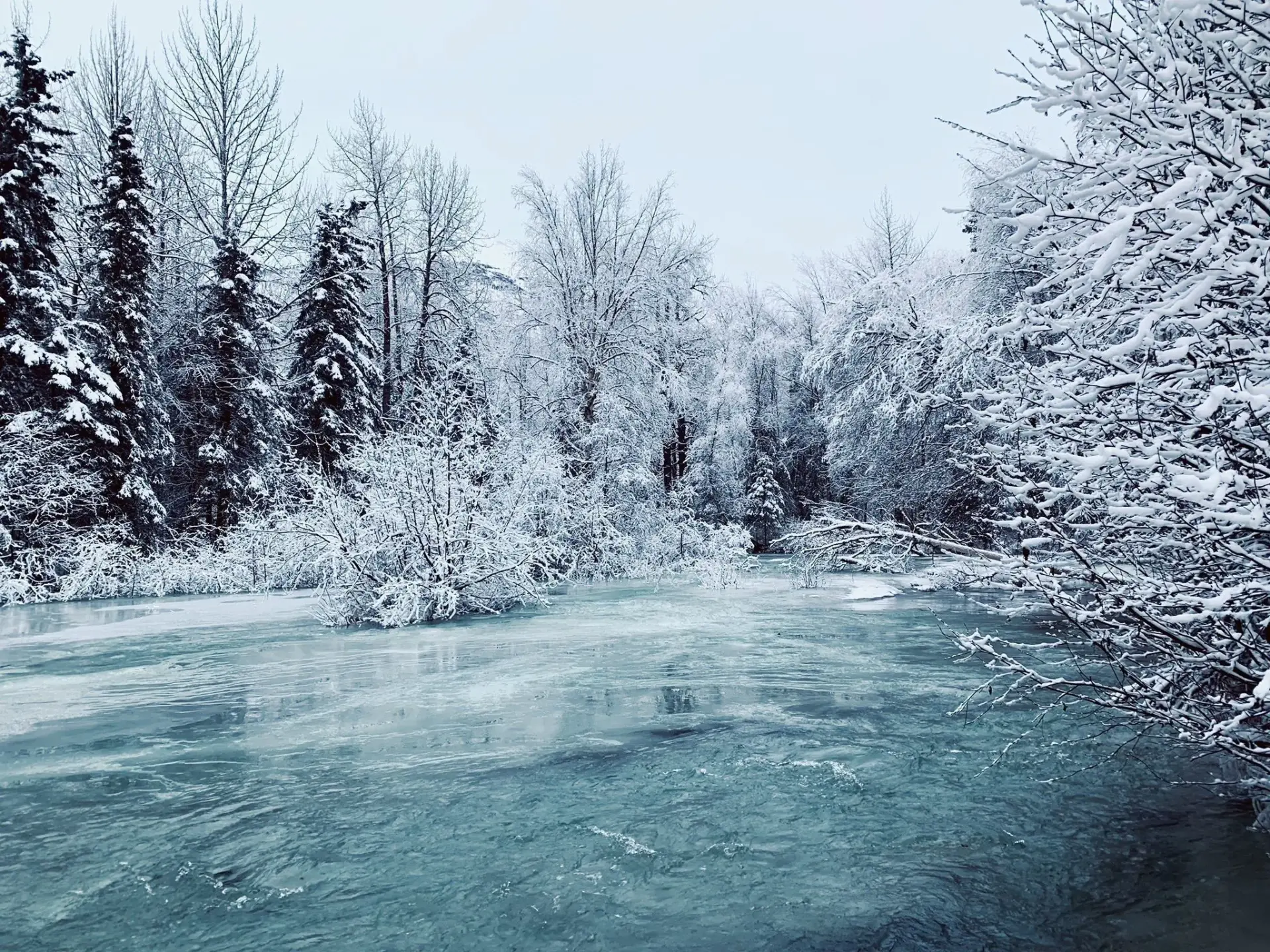 Arctic Circle
